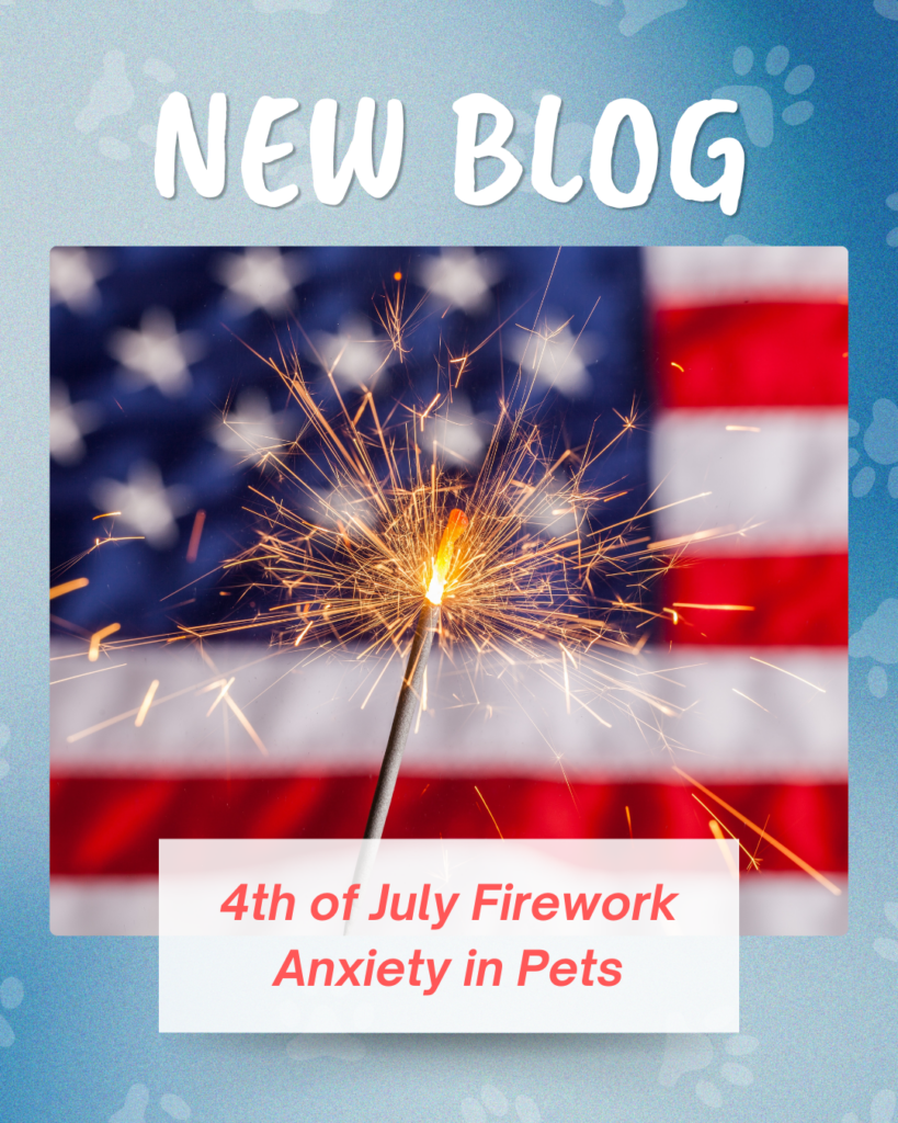 4th of July Firework Anxiety in Pets
